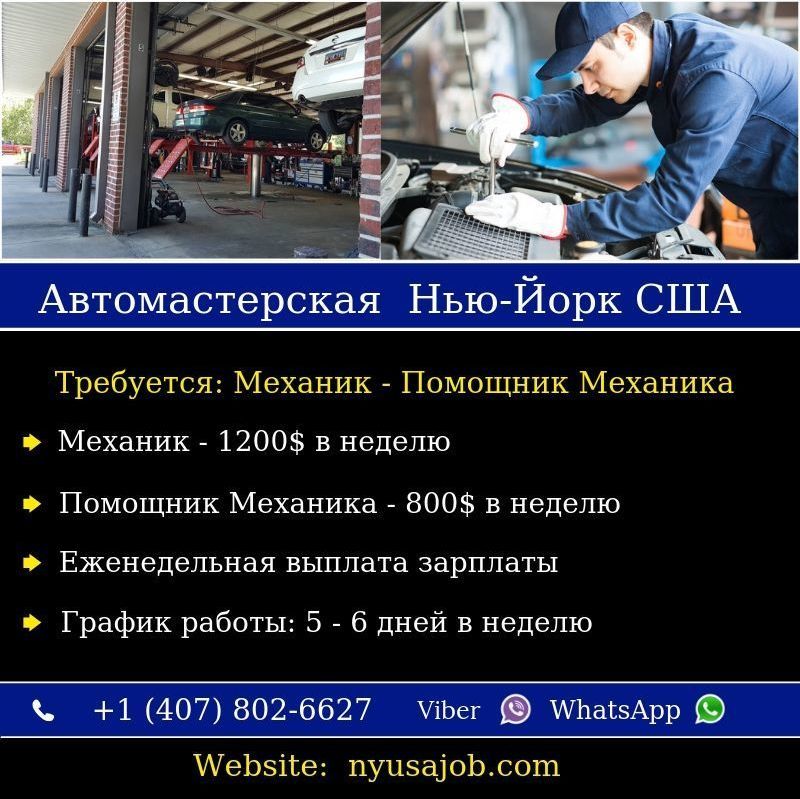 В Индии, начиная с детства, женский род ходит с точками на лбу. Кругом было тихо, как будто все вымерли...
