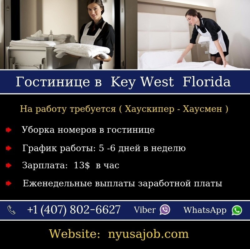 Описание изображения