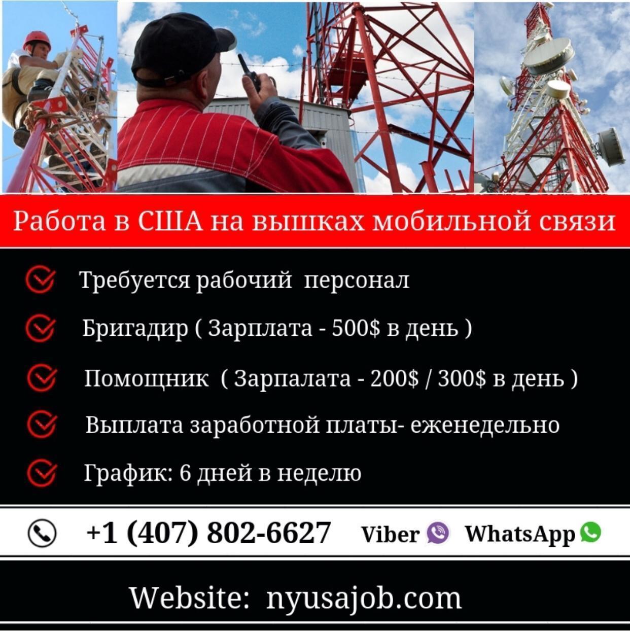 В Индии, начиная с детства, женский род ходит с точками на лбу. Кругом было тихо, как будто все вымерли...